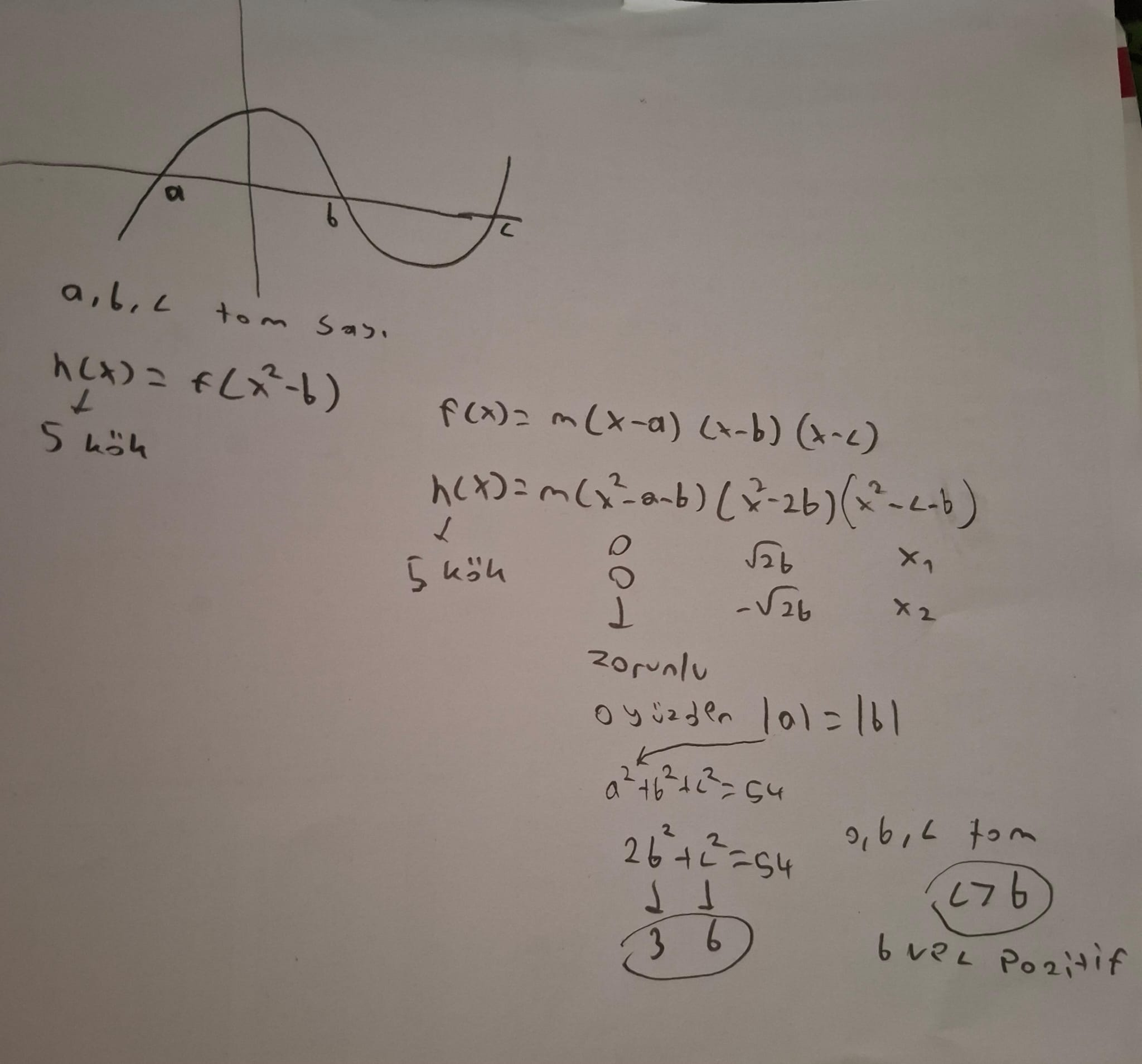 1775650226275.webp