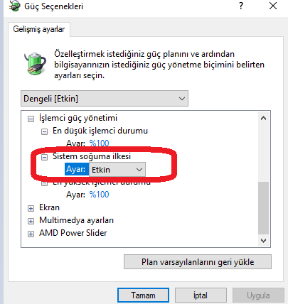 1777053333331.webp