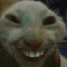 1777294001218.gif