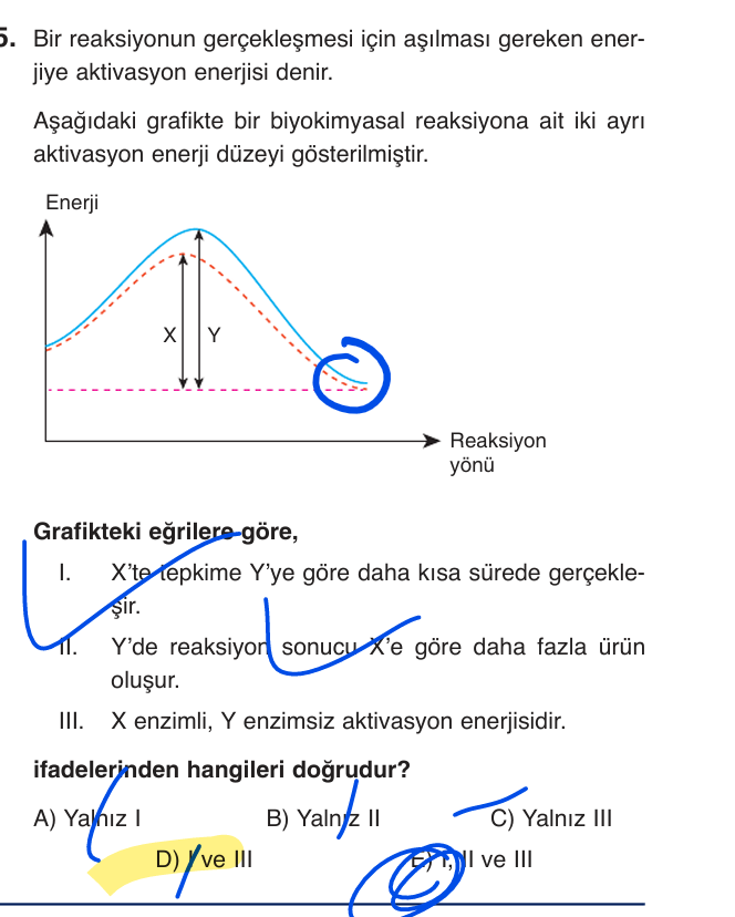 1777614332532.webp