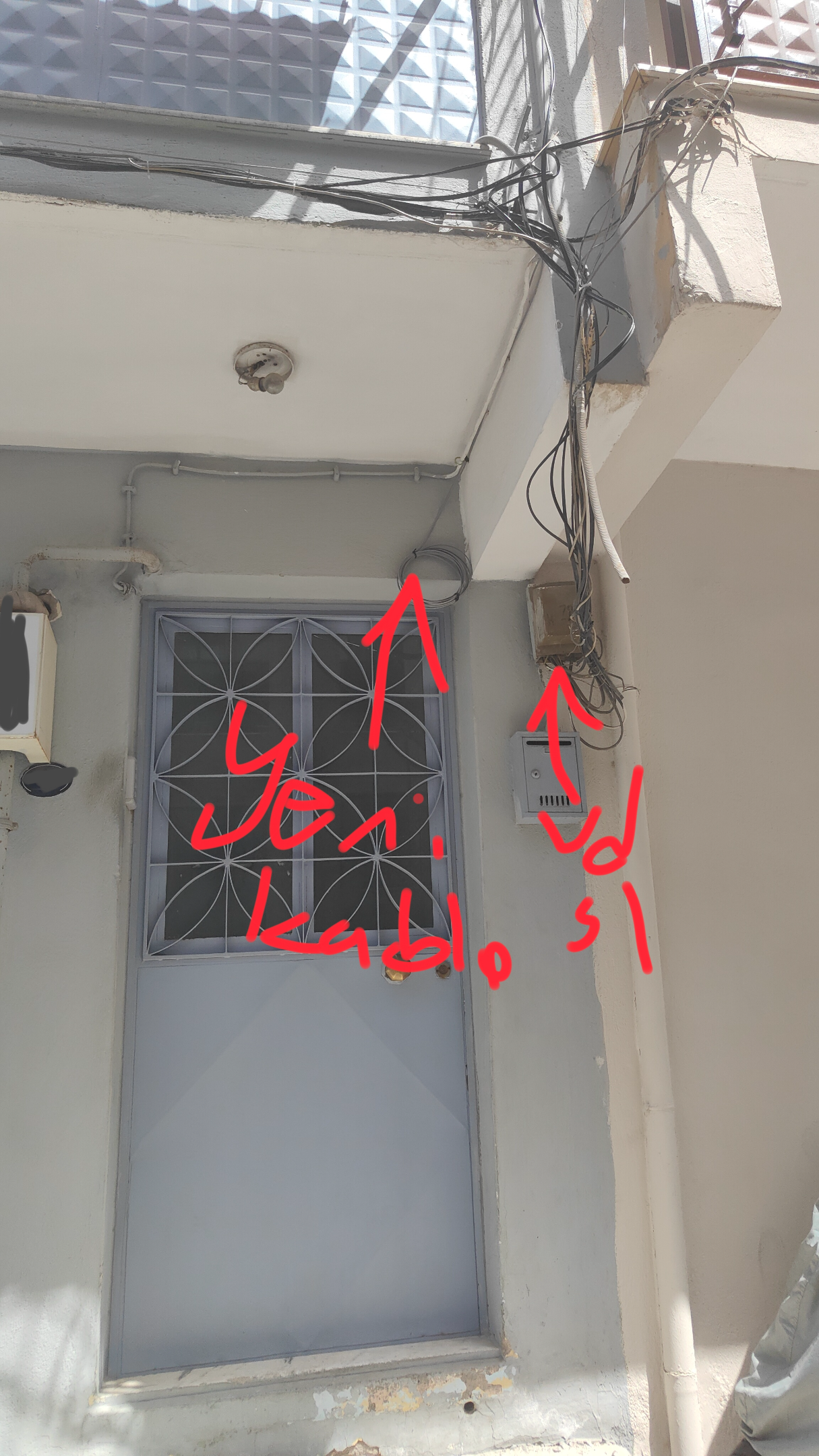 1778768185988.webp