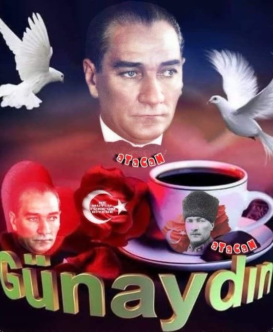 1779403615394.webp