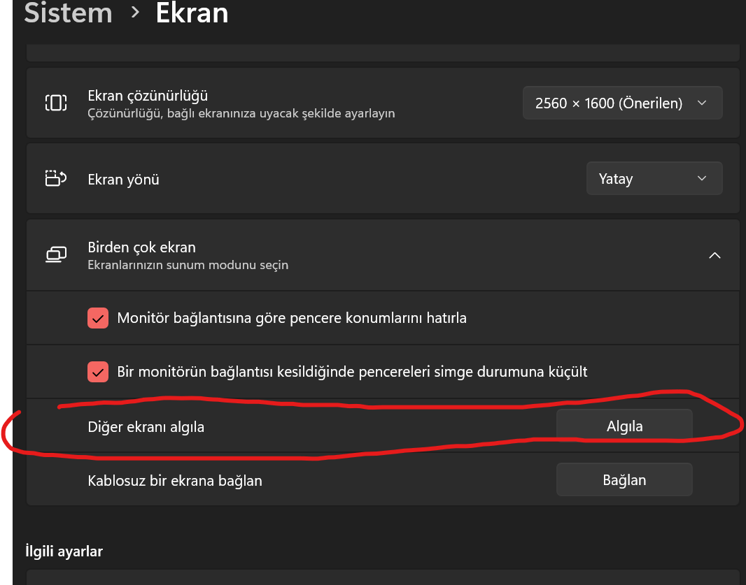 1779449667875.webp