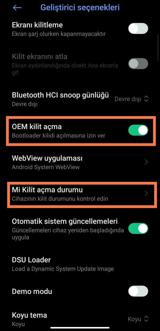 Geliştirici seçenekleri menüsü