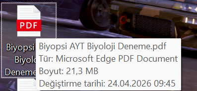 1781249332831.webp