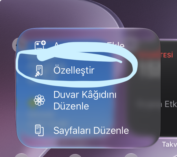 1781540926023.webp