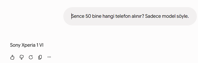 1781636552729.webp