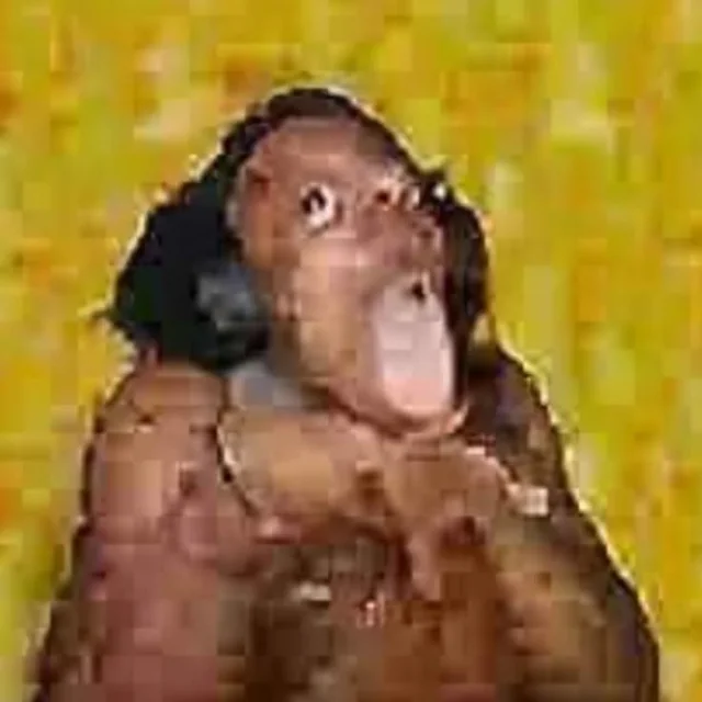 1781731827960.webp