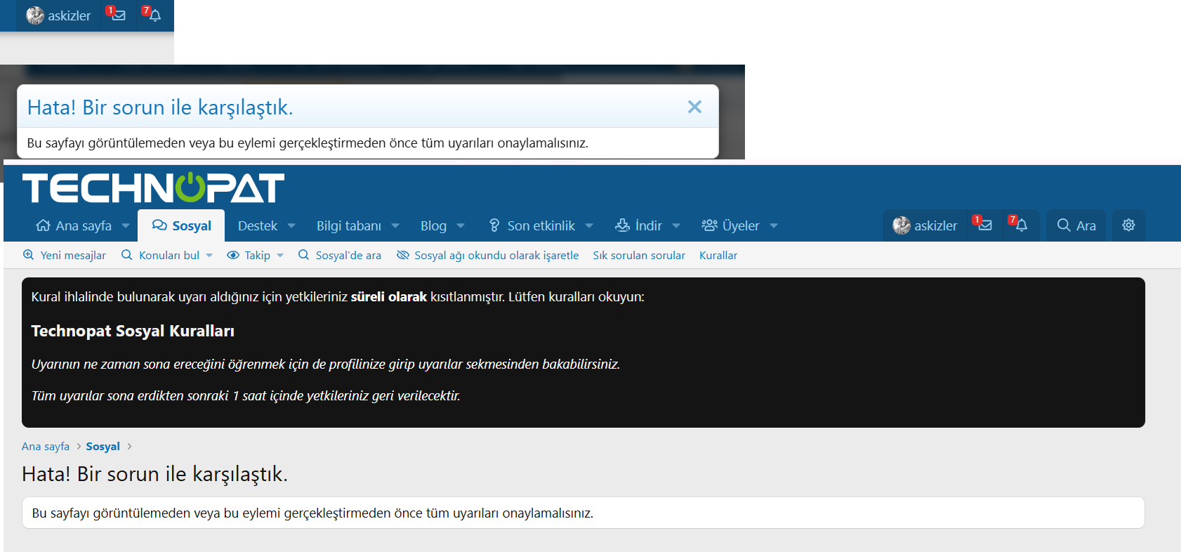 1784028068724.webp