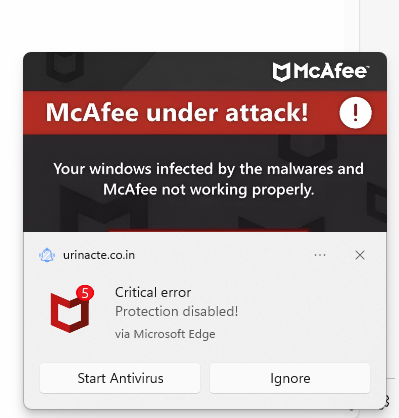 1784032364491.webp