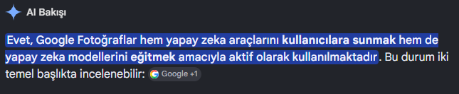 1784067345393.webp
