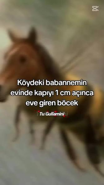 1784882273072.webp