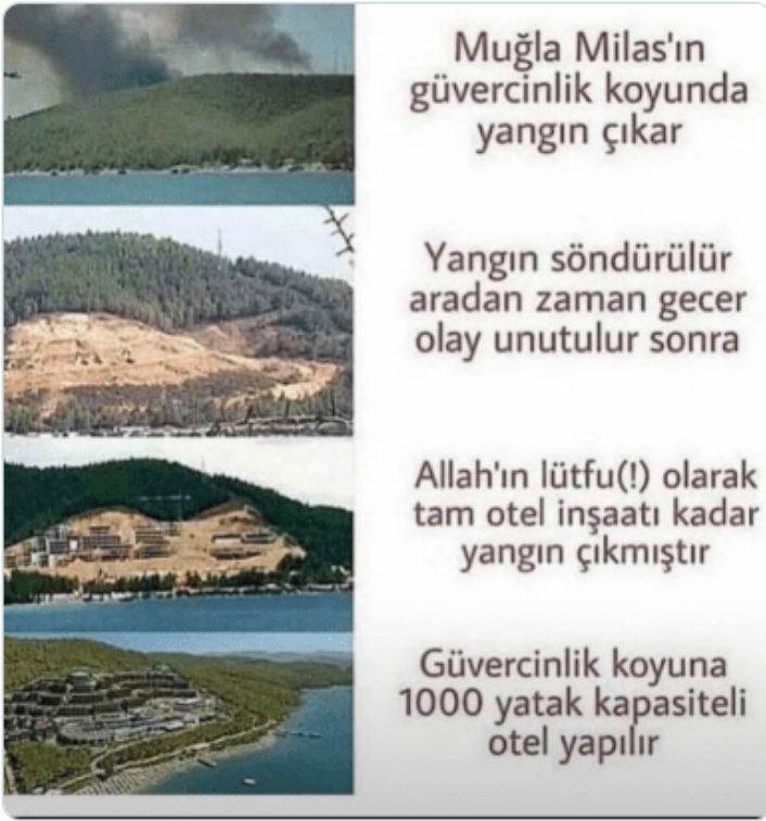 1785409436603.webp