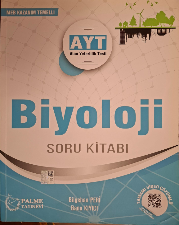 1786198185095.webp