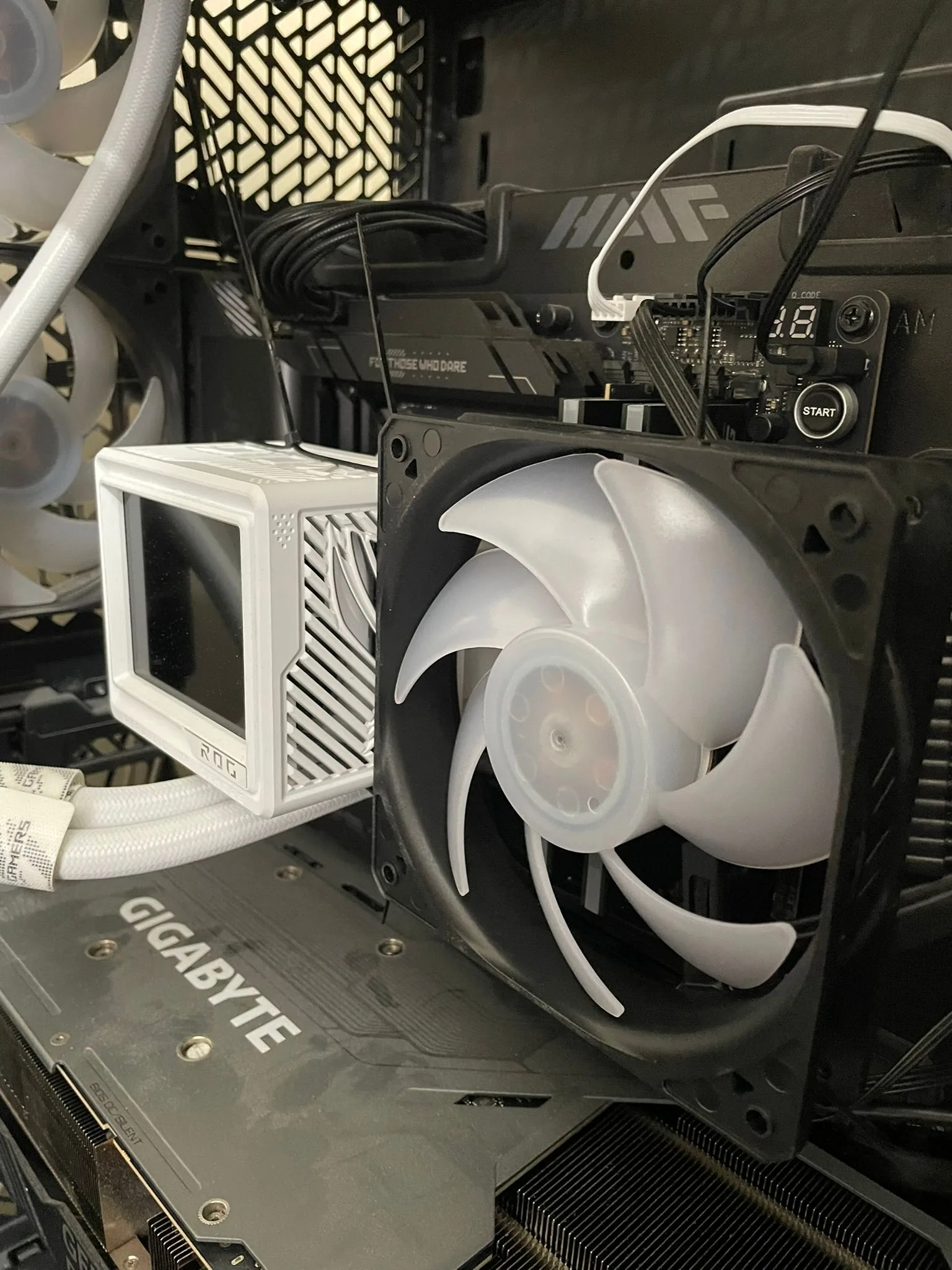 1786201349773.webp