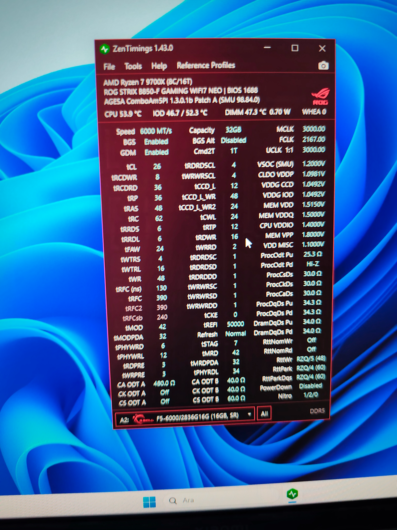 17862991724118351264166166069484.webp