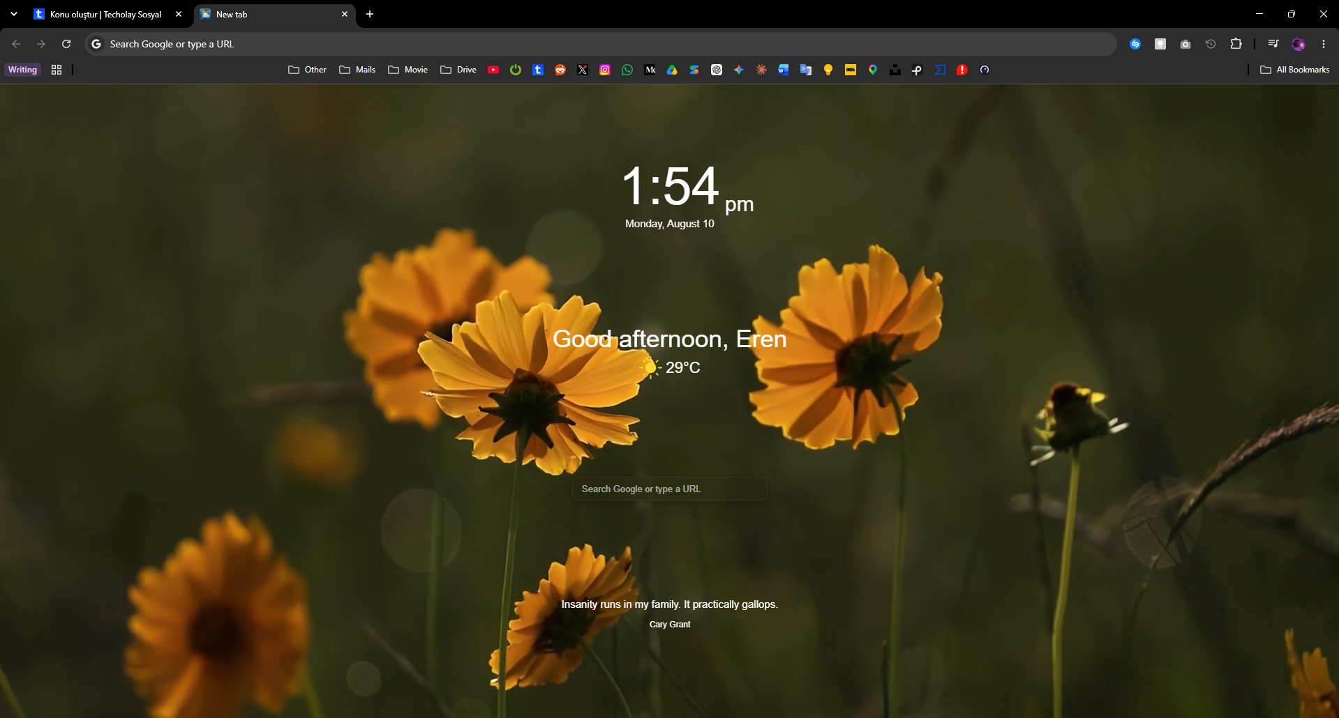 1786359260996.webp