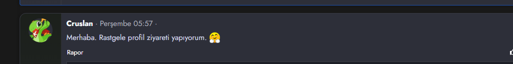 1786392099028.webp