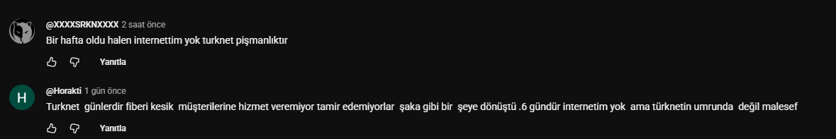 1786398427154.webp