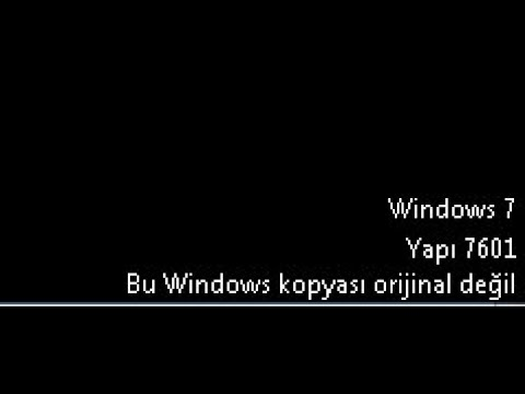 1786978441181.webp