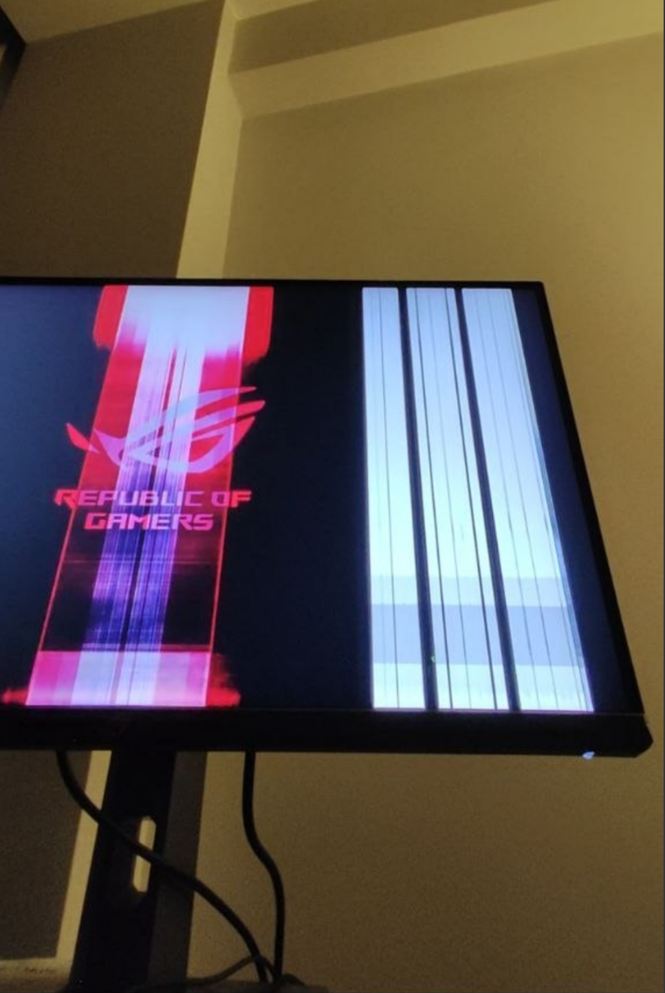 1787100748025.webp