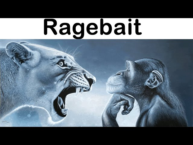 1787510576615.webp