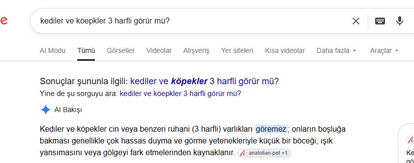 1787659564557.webp