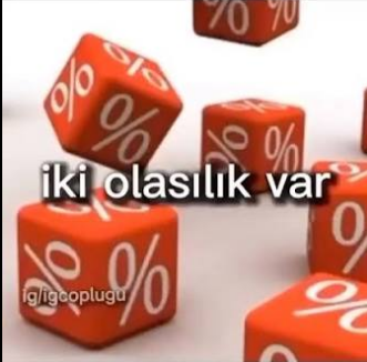 1787677045219.webp