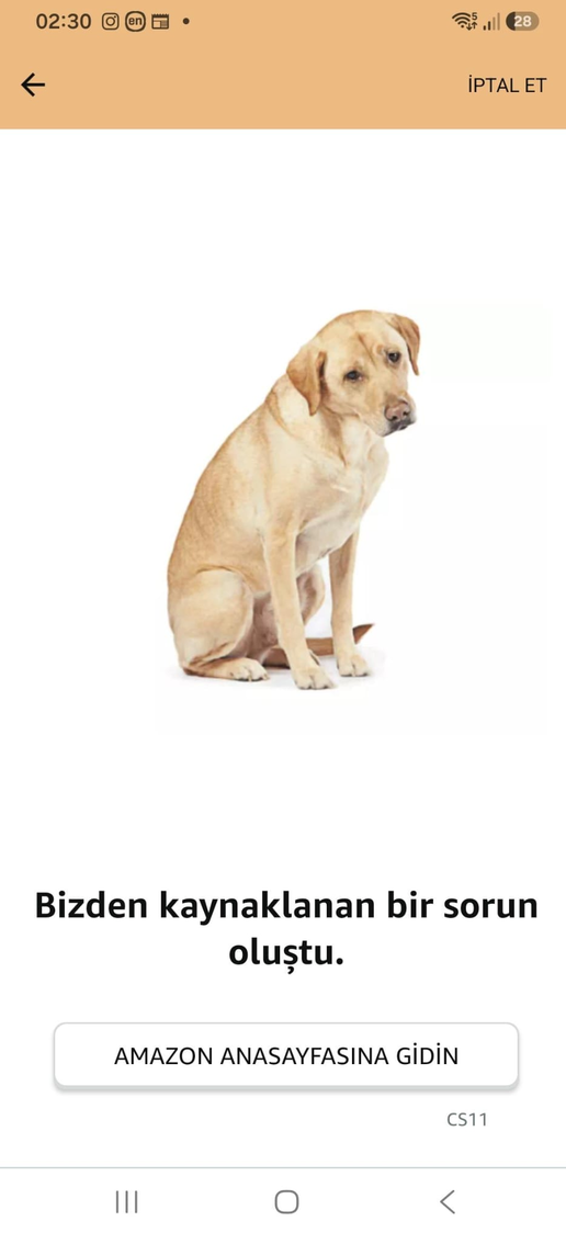 1788737554777.webp