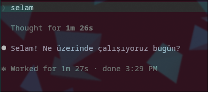 1790602166755.webp