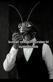 1791566553981.webp