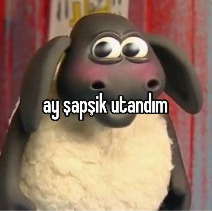 1791739698192.webp