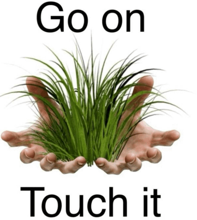 1791980220955.webp