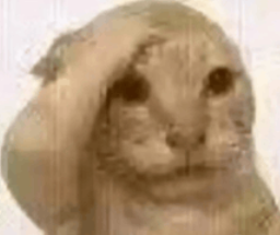 1792093791551.webp