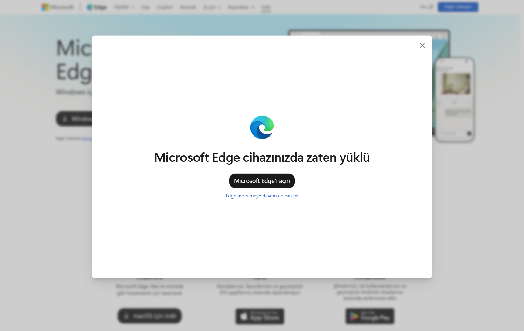1792408546391.webp