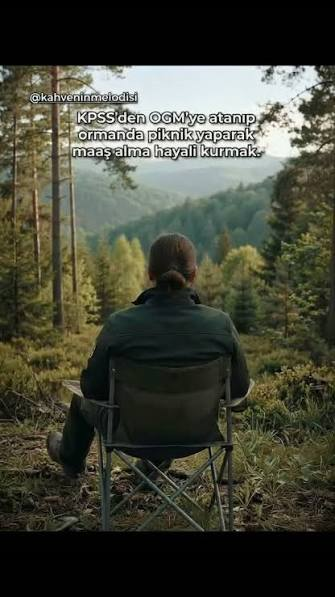 1793128532976.webp