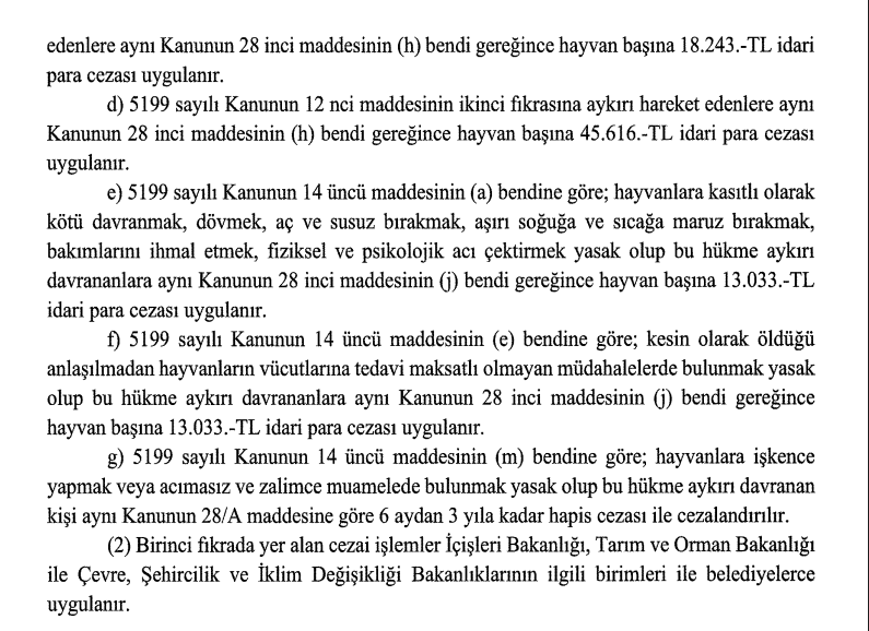 2-b.webp