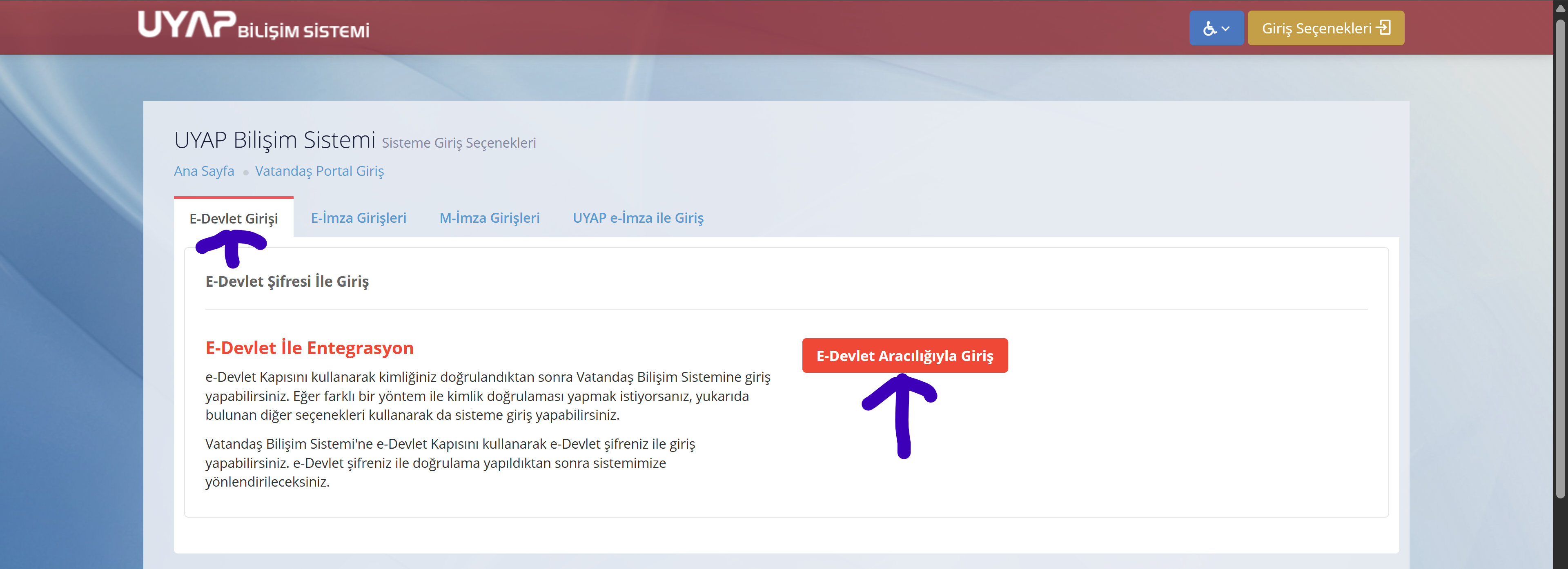 2.webp