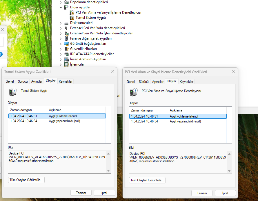 2.webp
