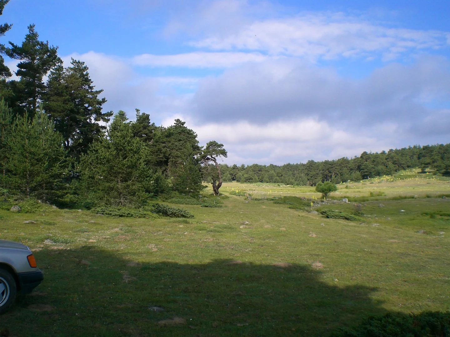 20070701081705_CIMG1428.webp