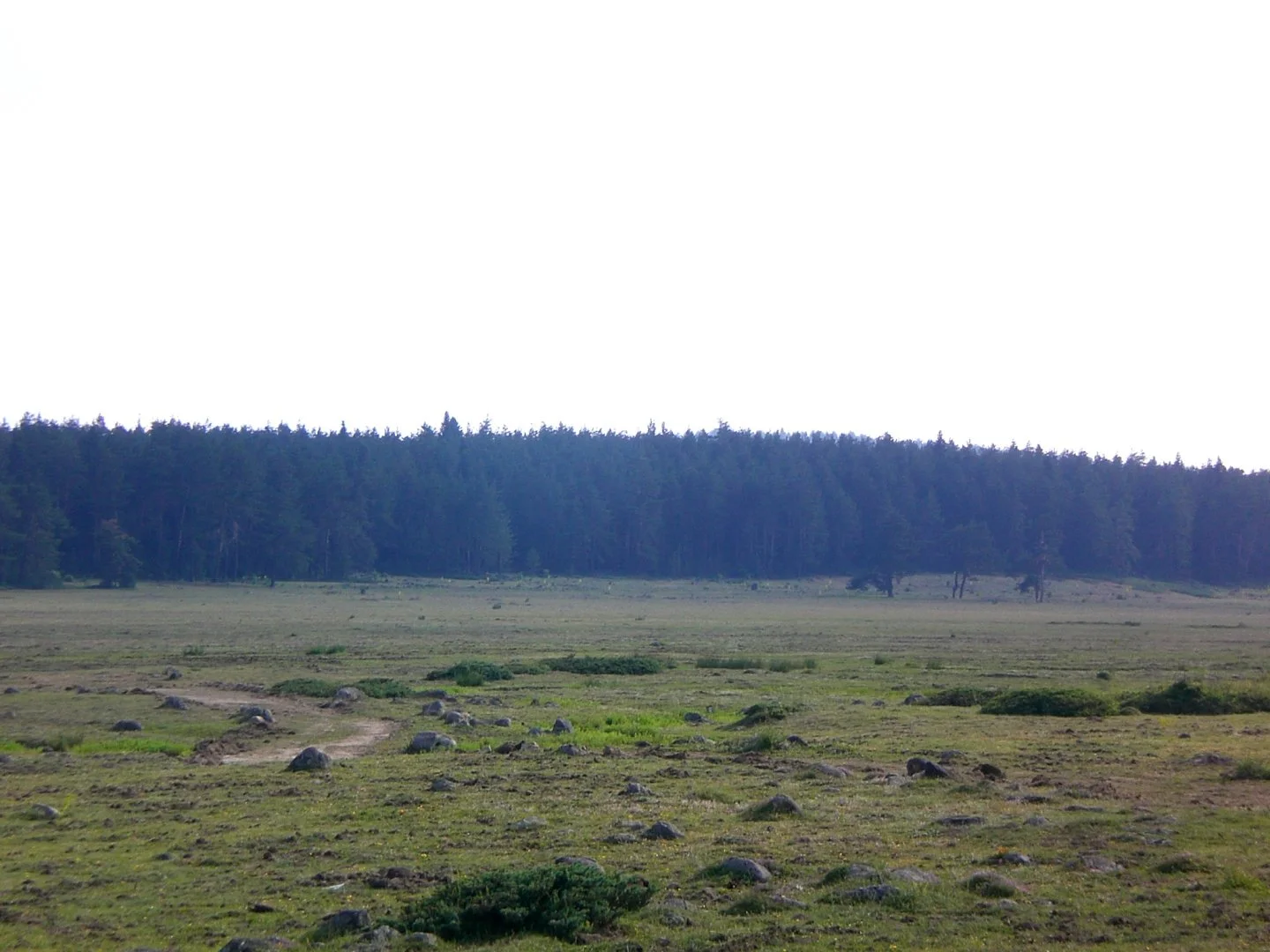 20070701081712_CIMG1429.webp