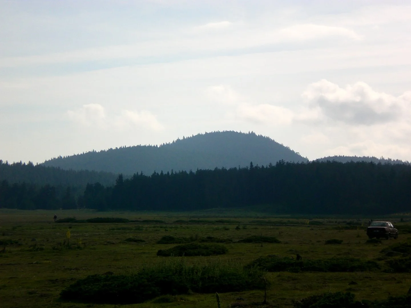 20070701081720_CIMG1430.webp