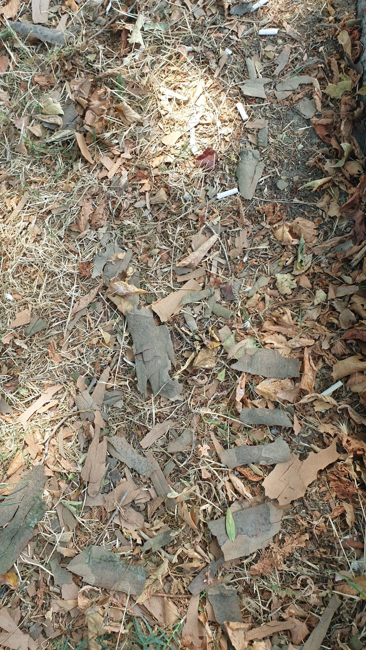 20240723_143644.webp