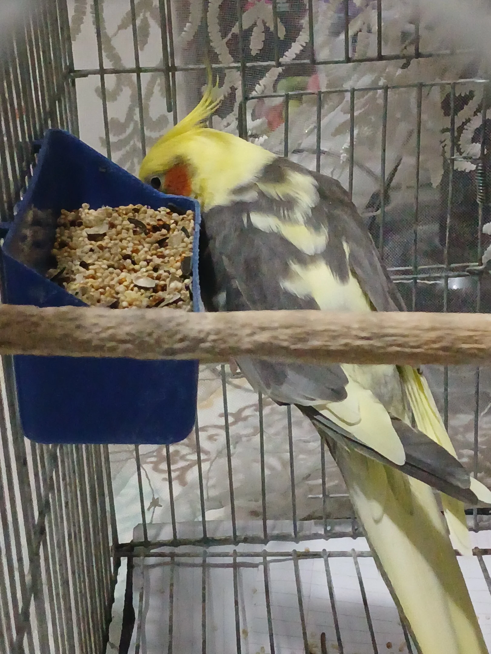 20241103_190201.webp