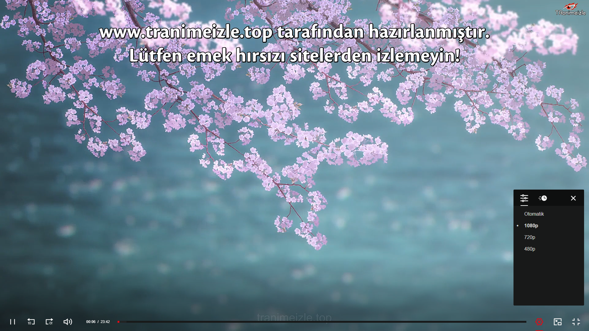 2025-05-07_21-36.webp