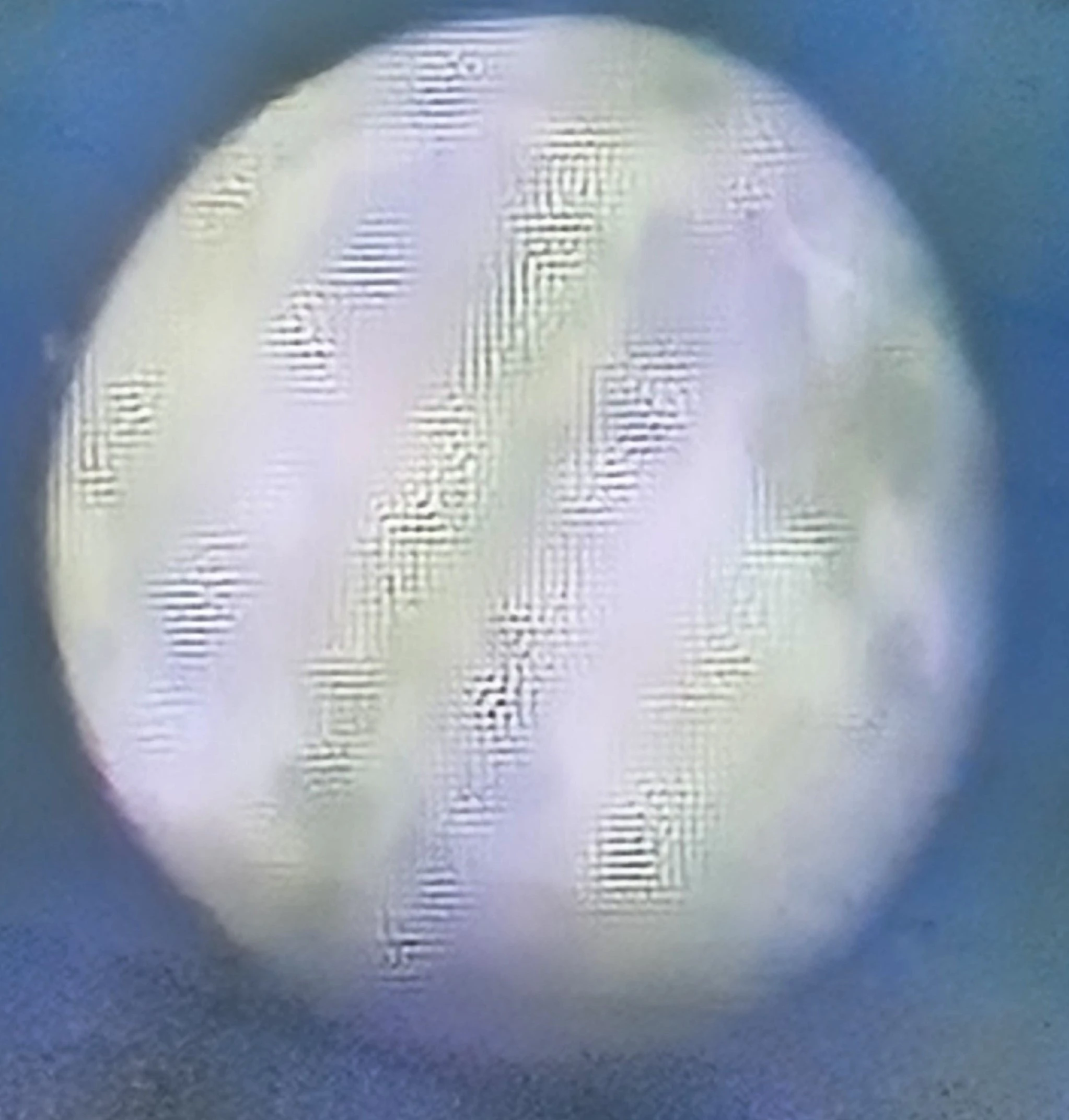 20250126_221726.webp