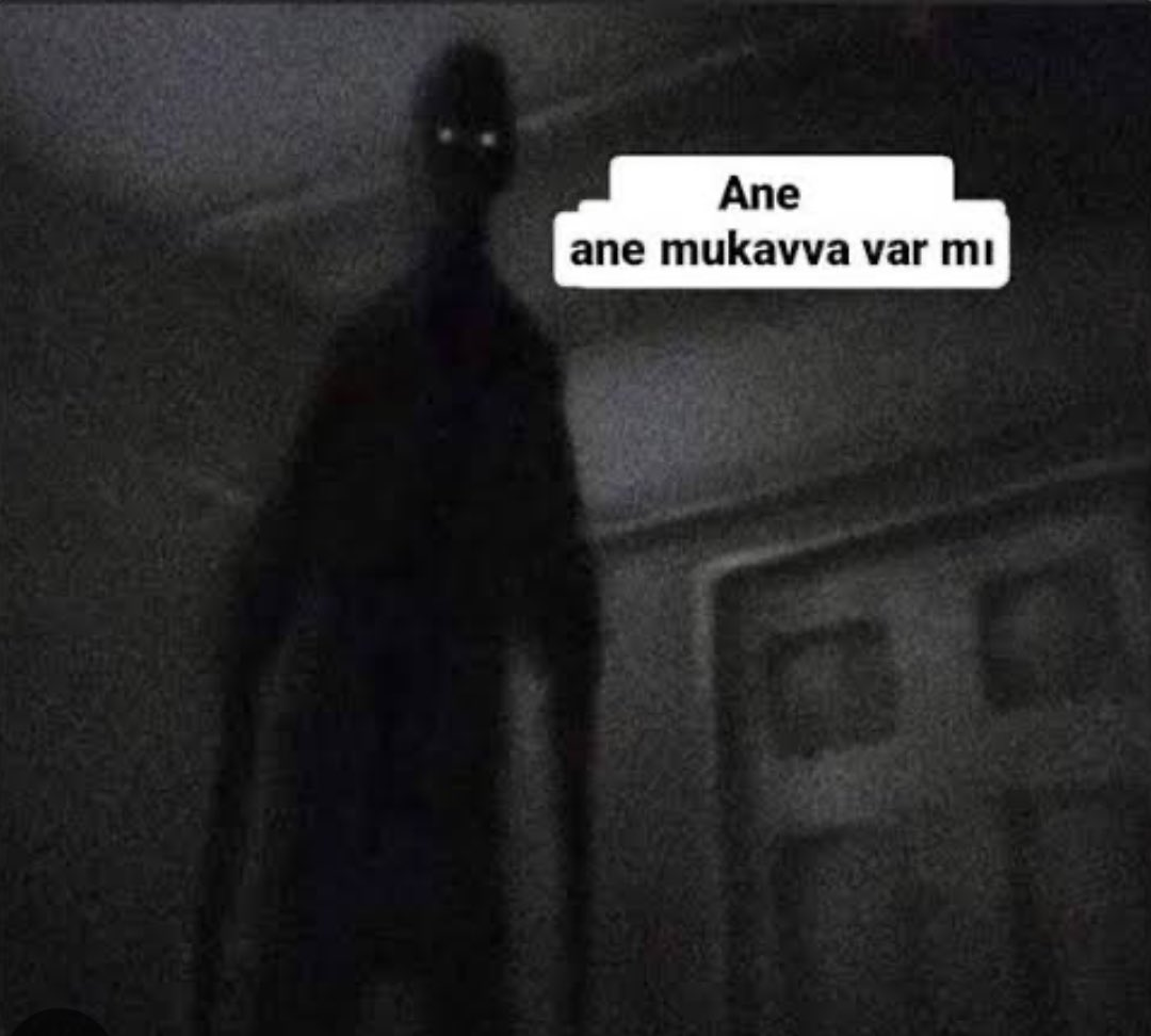 20250328_091539.webp