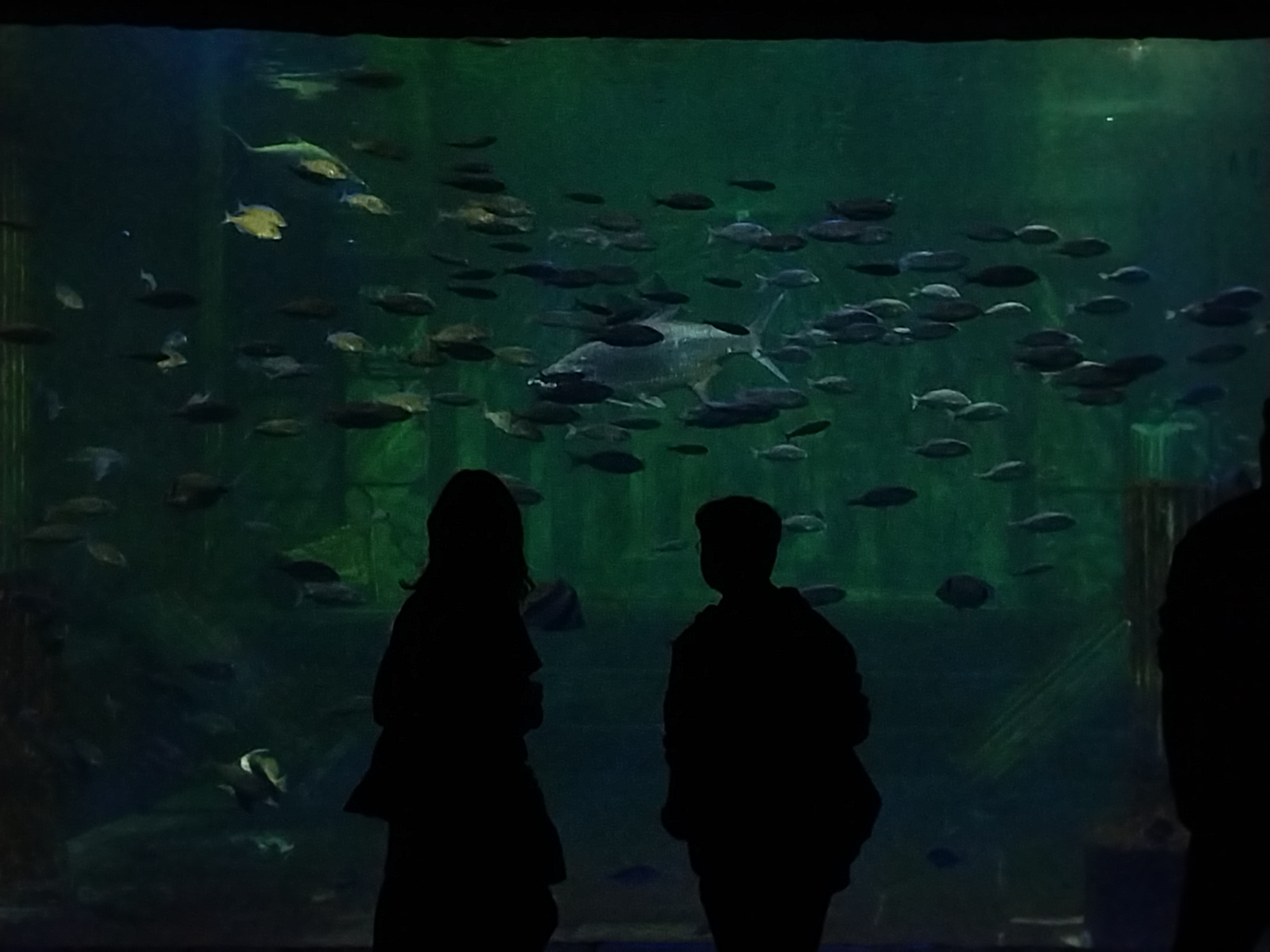 20250519_141943.webp