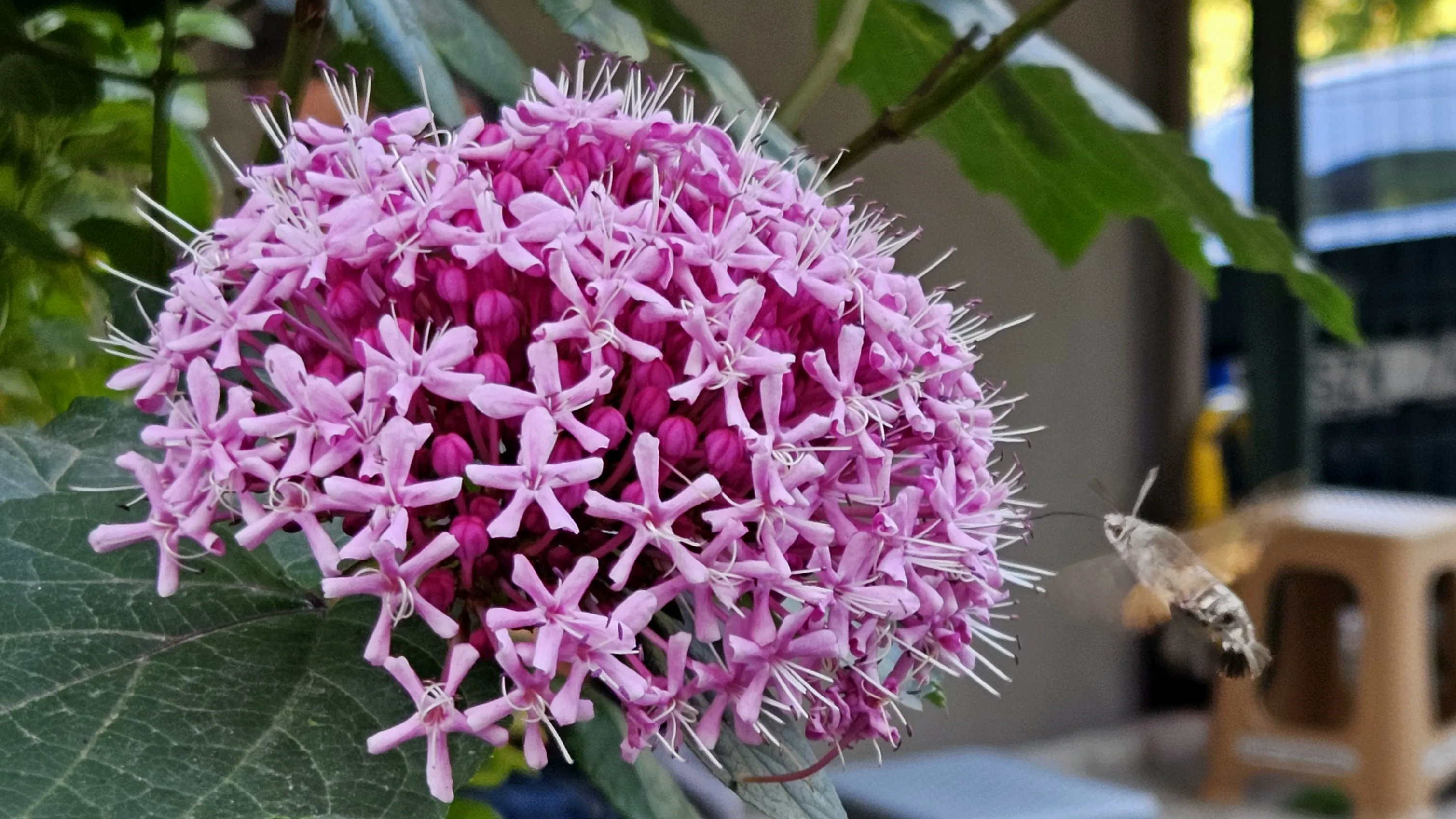 20250714_173850(1)(1).webp