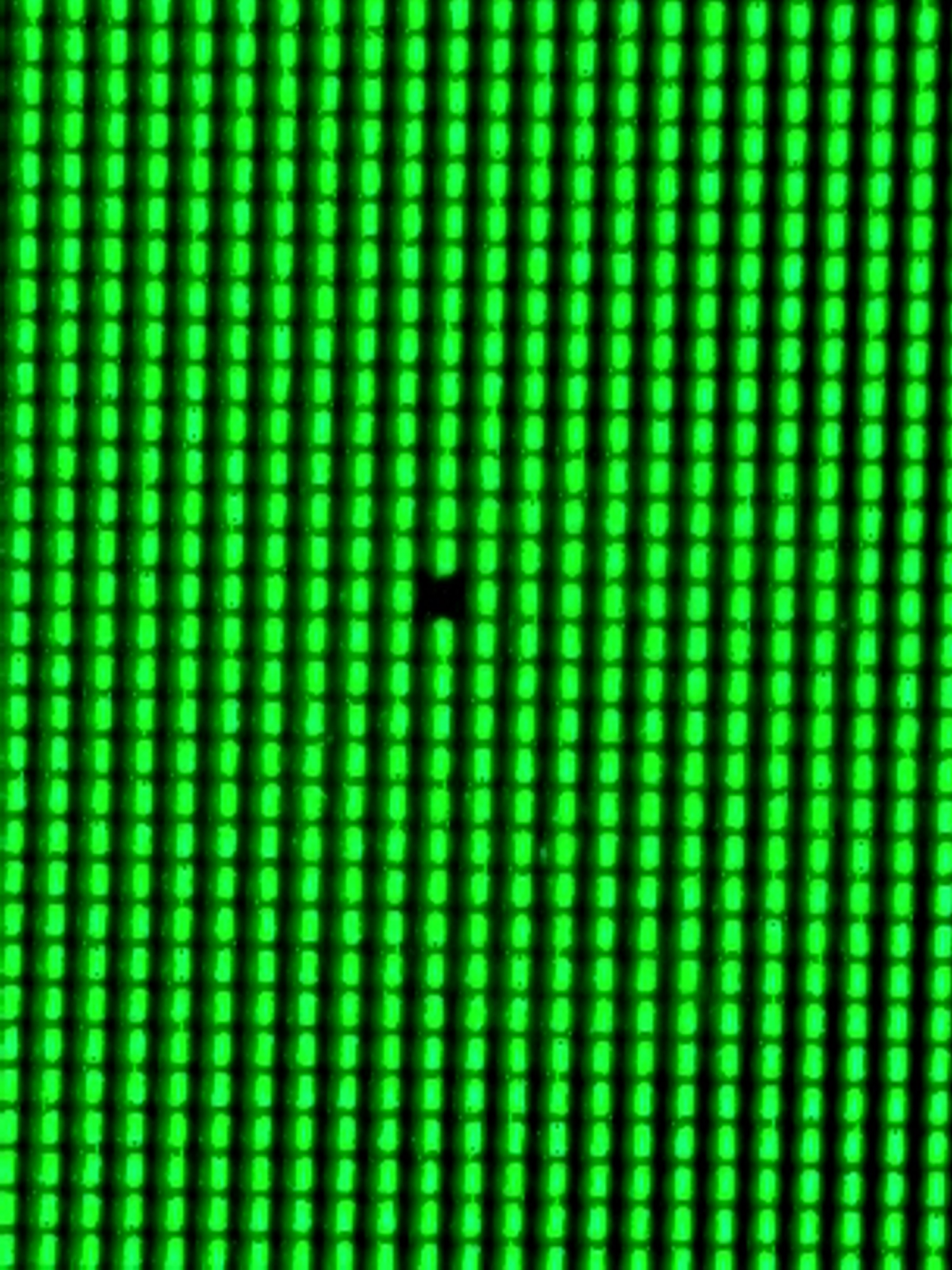 20250722_000729.webp